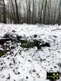 Steinbruch am Finkenberg bei Babben nahe Calau, Brandenburg, (D) (15) 24. Januar 2015 Aufschluß im anstehenden Raseneisenstein.JPG